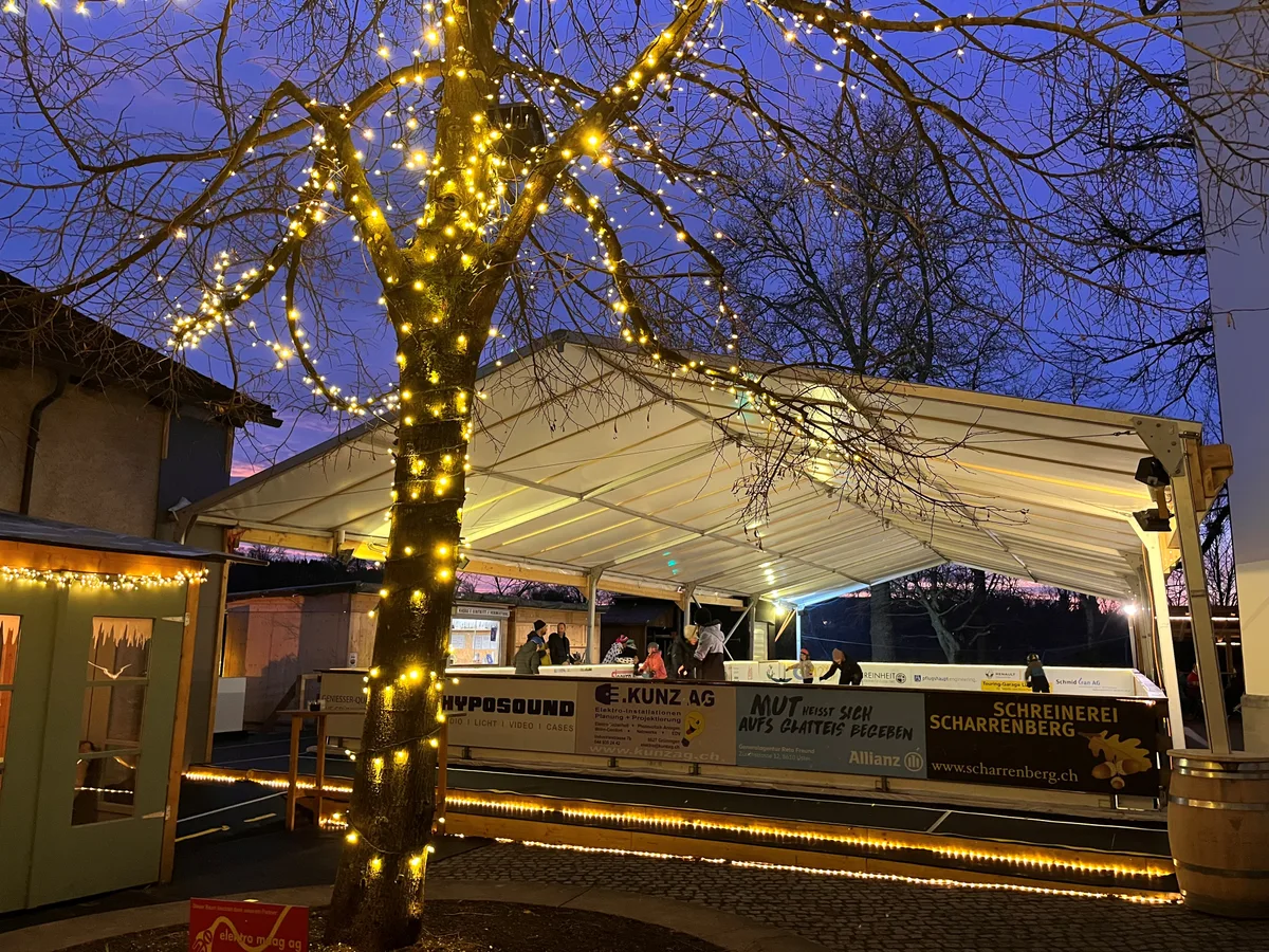 Die Schloss-Eisbahn in Grüningen in einer schönen Abendstimmung.